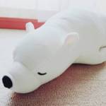 2018年、買ってよかったもの。